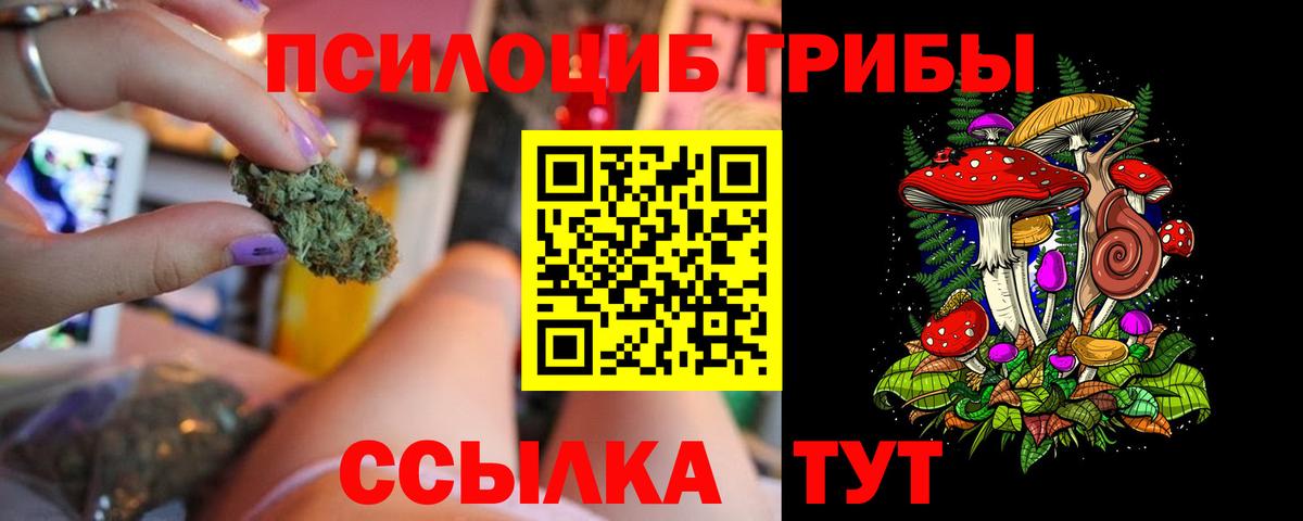 Псилоцибиновые грибы Psilocybe Королёв